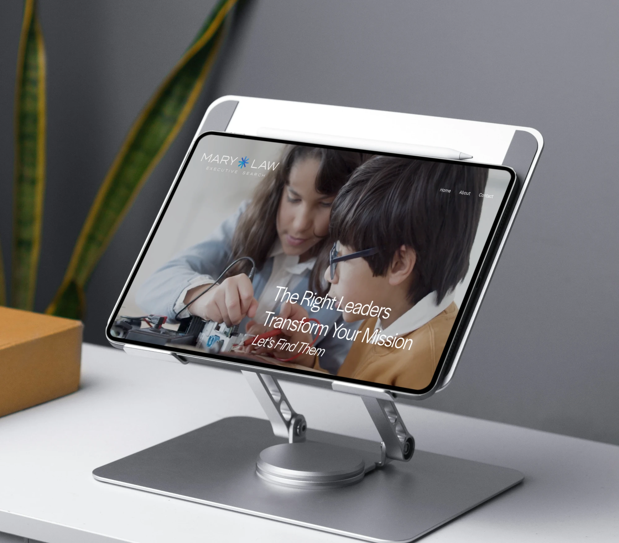 Mary Law Executive Search website preview